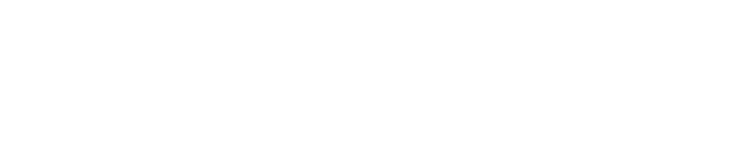 Ninja-Coaching Logo